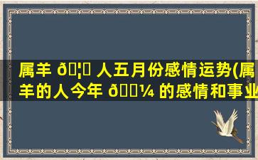 属羊 🦄 人五月份感情运势(属羊的人今年 🌼 的感情和事业)